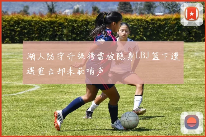 湖人防守升级穆雷被隐身LBJ篮下遭遇重击却未获哨声