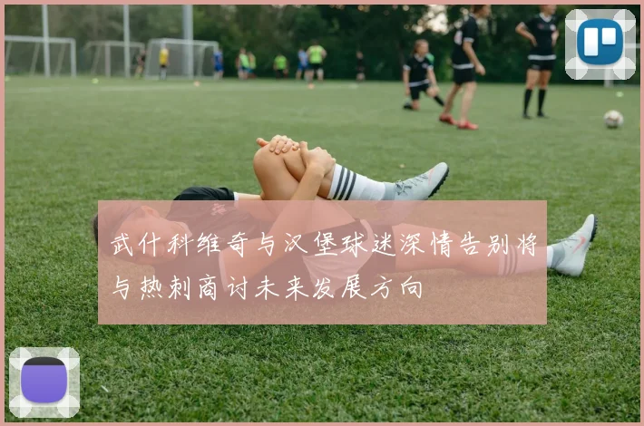 武什科维奇与汉堡球迷深情告别将与热刺商讨未来发展方向
